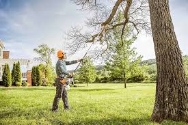 Best Lawn Watering Services  in Ripley, MS